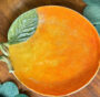 PETISQUEIRA M DE LARANJA ZANATTA 27CM