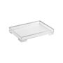 BANDEJA DE SERVIR L ESSENCE 46x32x5CM DESIGN ASSINADO ICONS TRANSPARENTE